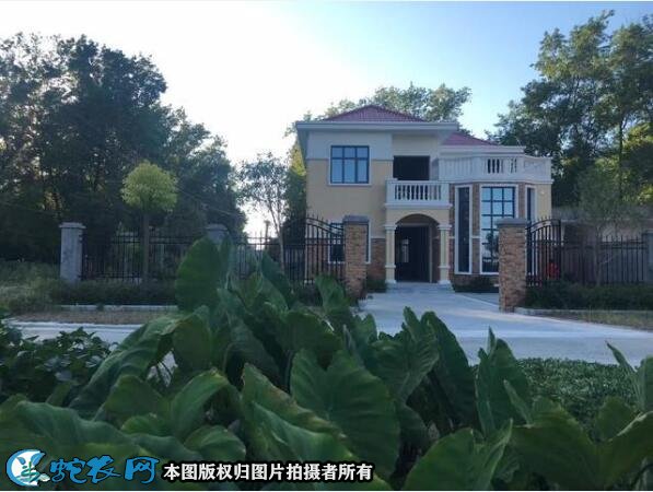 现代农村别墅图片大全4