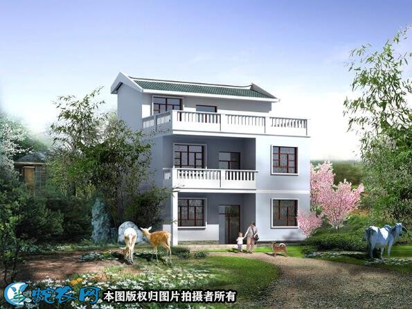 房屋设计农村简单大方图2