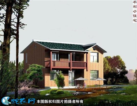房屋设计农村简单大方图3