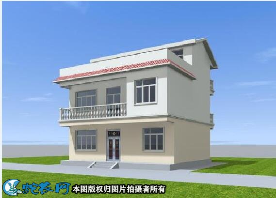 房屋设计农村简单大方图4