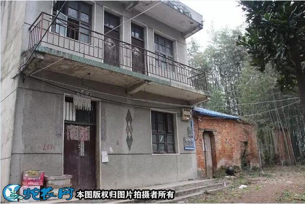 房屋设计农村简单大方图7