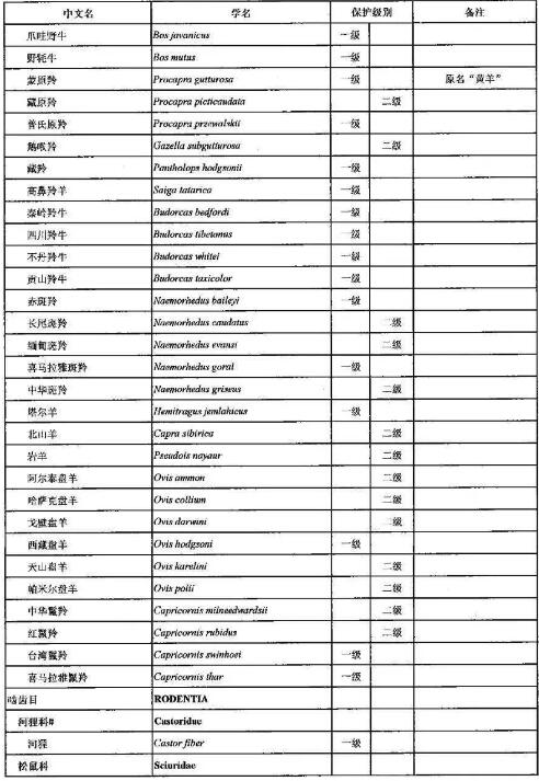 2021年调整后的《国家重点保护野生动物名录》正式公布