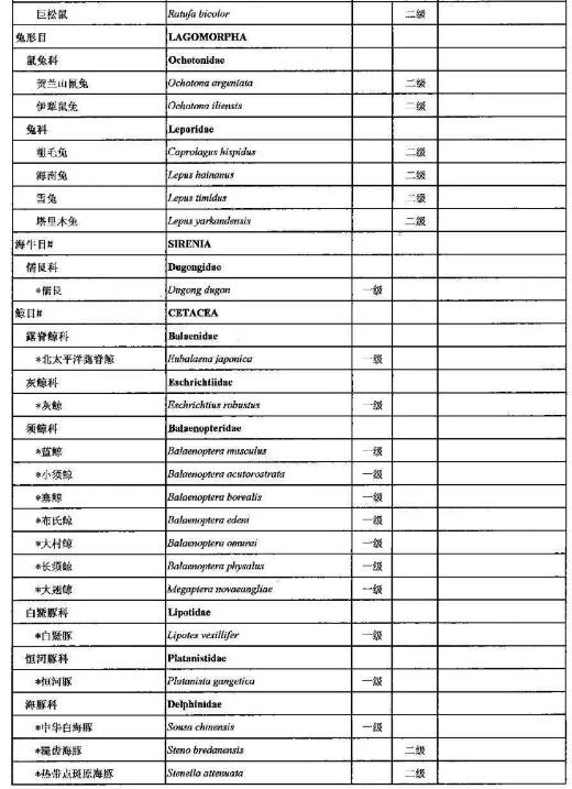 2021年调整后的《国家重点保护野生动物名录》正式公布