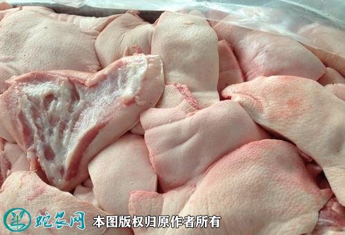 2021年2月6日猪槽头肉价格行情、今日猪槽头肉、猪颈肉多少钱一斤?