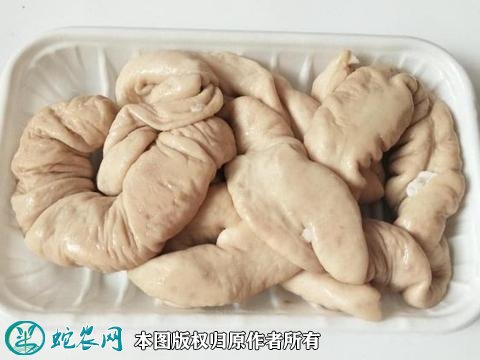 2021年2月7日猪大肠价格行情、今日猪肥肠多少钱一斤?