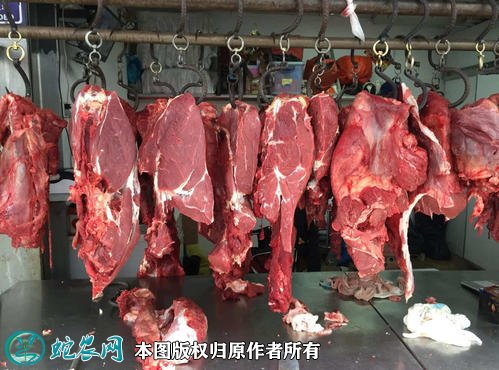 2021年2月7日牛腿价格行情、今日牛腿肉多少钱一斤?