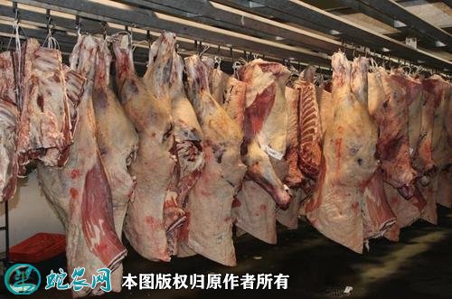 2021年2月8日四分体牛肉价格行情、今日四分体牛肉多少钱一斤?