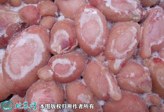 2021年2月15日羊睾丸价格行情、今日羊外腰、羊宝多少钱一斤?