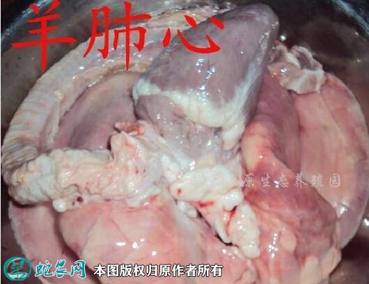 2021年2月15日羊肺价格行情、今日羊肺多少钱一斤?
