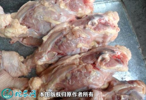 2021年2月19日鸡架价格行情、今日鸡骨架多少钱一斤?
