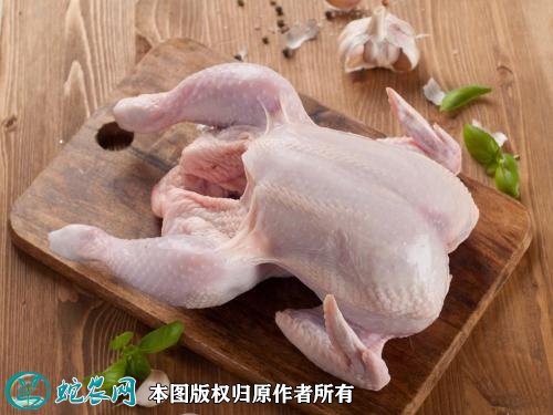 2021年2月19日鸡肉价格行情、今日鸡肉类多少钱一斤?