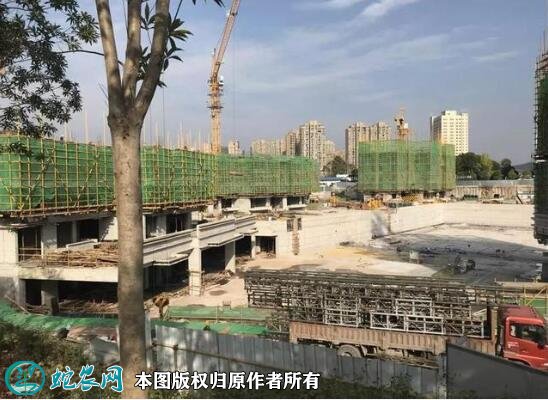 2021年夫妻离婚不用再争房产了!