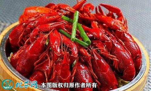 2020年2月22日洪湖小龙虾价格行情、今日洪湖小龙虾多少钱一斤?