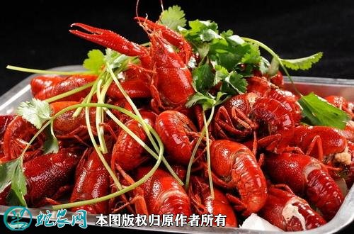 2020年2月22日监利小龙虾价格行情、今日监利小龙虾多少钱一斤?