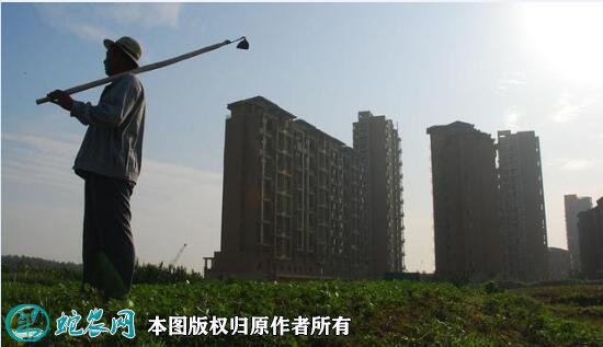 2021年农民宅基地政策!严谨强迫农民退出宅基地、强迫“上楼”!