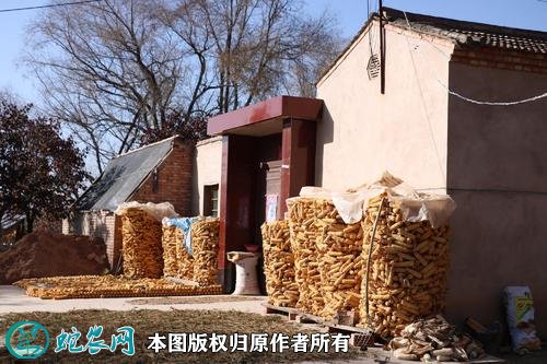 农村房屋能买卖吗图2