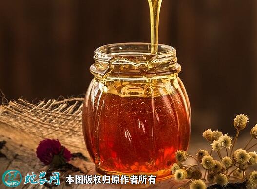 2021年2月24日蜂蜜价格行情、今日各种蜂蜜多少钱一斤?