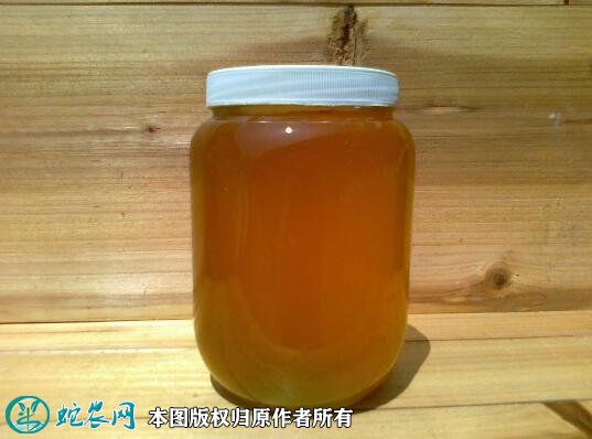 2021年2月25日荆条蜜价格行情、今日荆条蜜多少钱一斤?