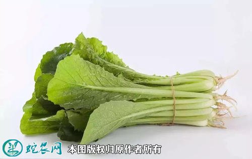 2021年2月25日小白菜价格行情、今日小白菜多少钱一斤?
