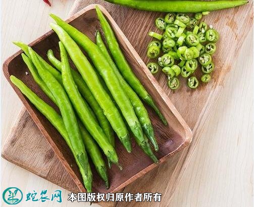 2021年2月27日杭椒价格行情、今日杭椒多少钱一斤?