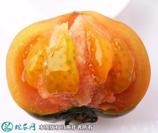2021年2月27日草莓西红柿价格行情、今日草莓柿子多少钱一斤?