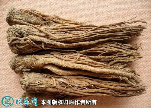 2021年2月27日当归价格行情、今日各种当归多少钱一斤?