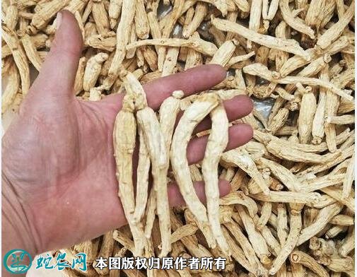 2021年2月28日白干参价格行情、今日白干参多少钱一斤？