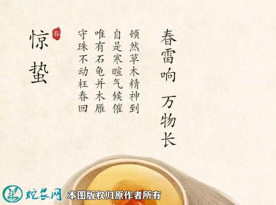 2021年惊蛰是几月几日?惊蛰节气的习俗和禁忌有哪些?