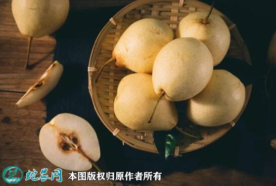 惊蛰习俗图2