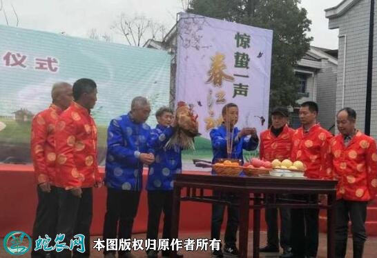 惊蛰习俗图7