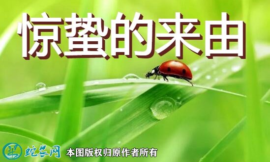 惊蛰的来由
