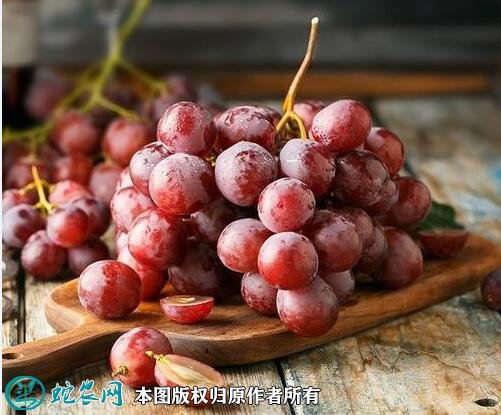 2021年3月2日红提价格行情、今日红提葡萄多少钱一斤?