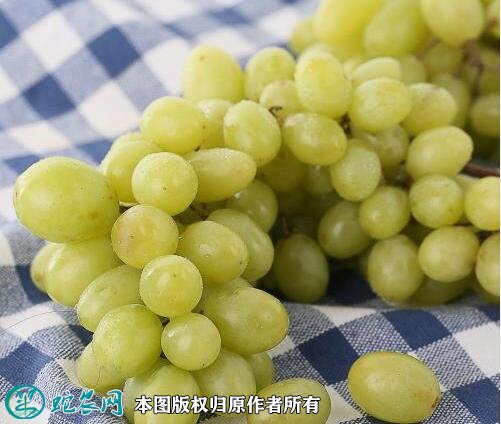 2021年3月2日无籽露葡萄价格行情、今日无核白葡萄多少钱一斤?