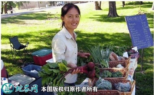 清华女博士隐居山林当农民!十一年收入破800万!