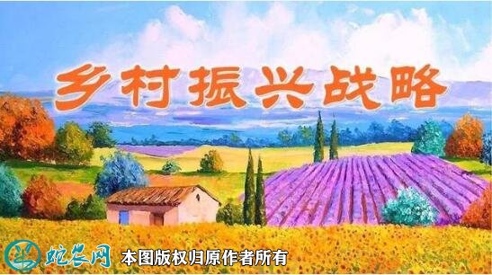 看两会、畅想乡村振兴：未来的农民不是“一般人”！