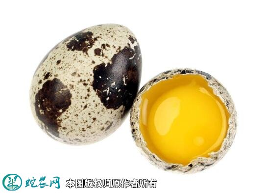 鹌鹑蛋的热量图片2