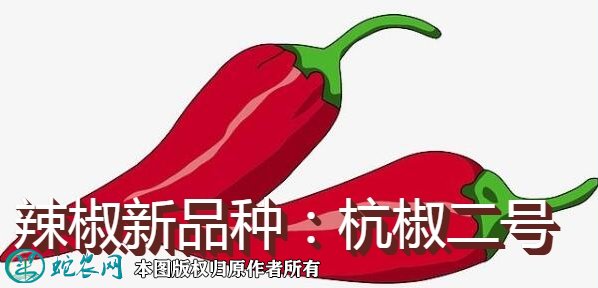 辣椒新品种：杭椒二号简介