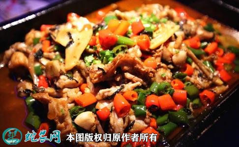 牛蛙图片5