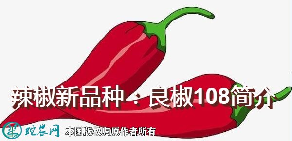 辣椒新品种：良椒108简介