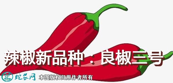 辣椒新品种：良椒三号简介