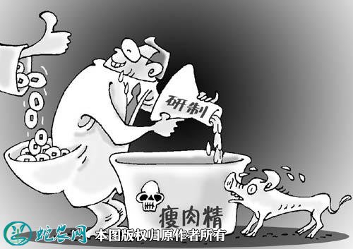 瘦肉精图2