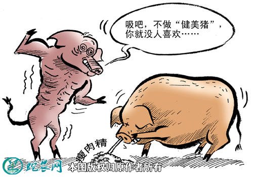 瘦肉精图3
