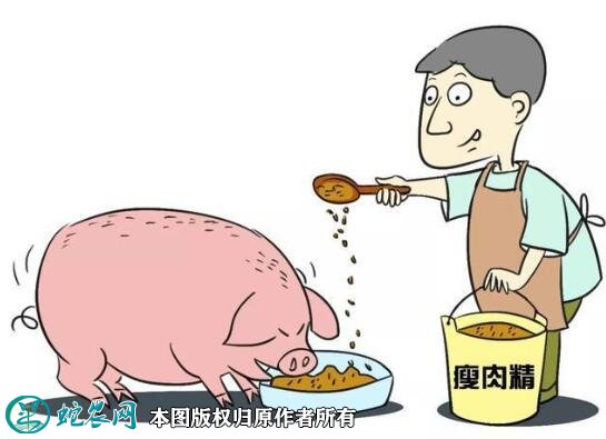 瘦肉精图4
