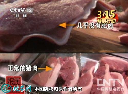 瘦肉精图5