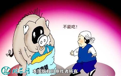 瘦肉精图6