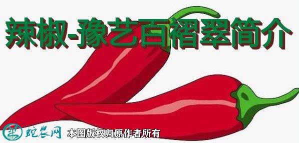 辣椒新品种：豫艺百褶翠简介