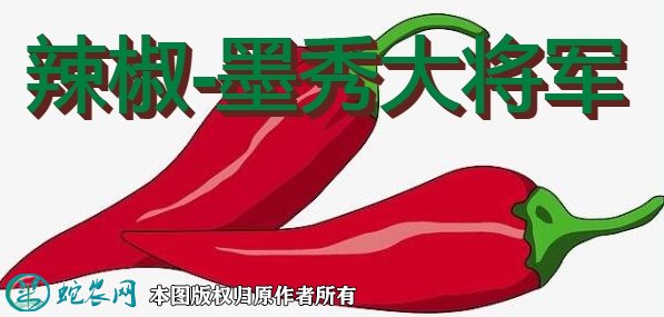 辣椒新品种:墨秀大将军简介
