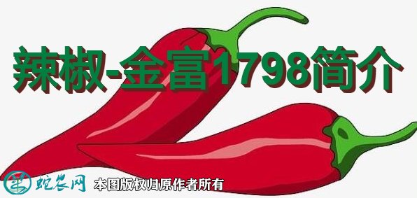 辣椒新品种:金富1798简介