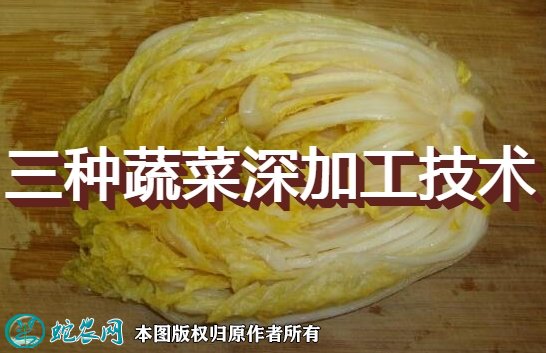 三种蔬菜深加工新技术图1