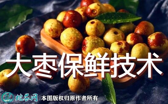 一种大枣的保鲜技术
